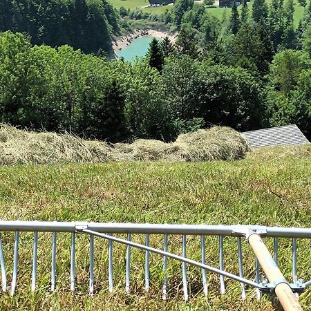 ヒッティザウ Haus Hagspielヴィラ エクステリア 写真